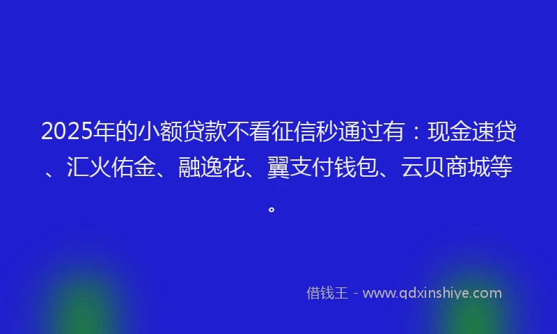 2025年的小额贷款不看征信秒通过有：现金速贷、汇火佑金、融逸花、翼支付钱包、云贝商城等。