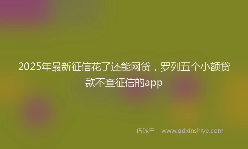 2025年最新征信花了还能网贷，罗列五个小额贷款不查征信的app