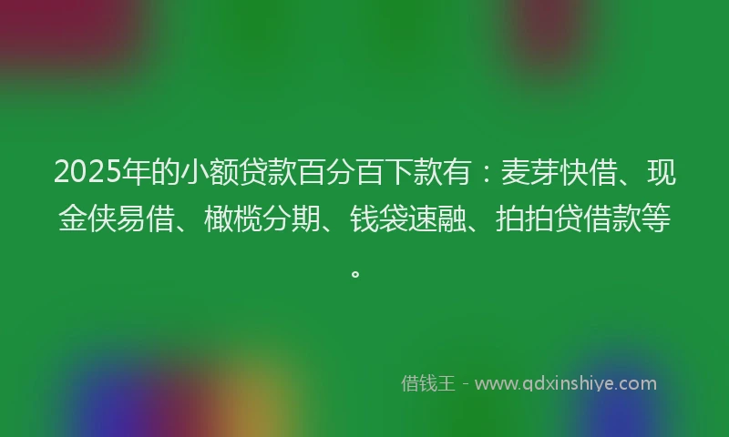 2025年的小额贷款百分百下款有：麦芽快借、现金侠易借、橄榄分期、钱袋速融、拍拍贷借款等。