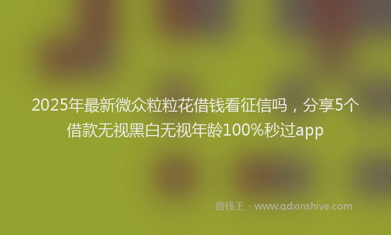 2025年最新微众粒粒花借钱看征信吗，分享5个借款无视黑白无视年龄100%秒过app