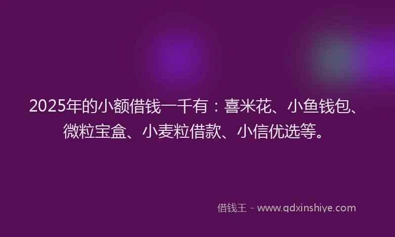 2025年的小额借钱一千有：喜米花、小鱼钱包、微粒宝盒、小麦粒借款、小信优选等。