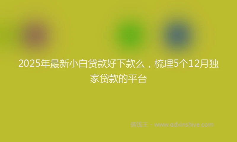 2025年最新小白贷款好下款么，梳理5个12月独家贷款的平台