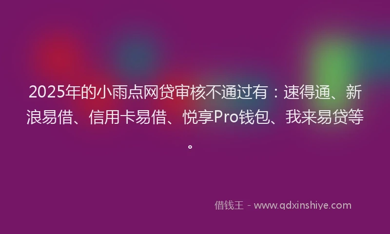 2025年的小雨点网贷审核不通过有：速得通、新浪易借、信用卡易借、悦享Pro钱包、我来易贷等。