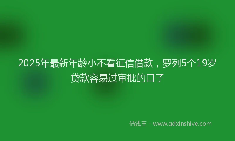 2025年最新年龄小不看征信借款，罗列5个19岁贷款容易过审批的口子