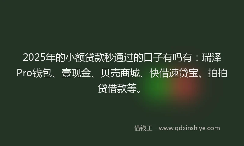 2025年的小额贷款秒通过的口子有吗有：瑞泽Pro钱包、壹现金、贝壳商城、快借速贷宝、拍拍贷借款等。