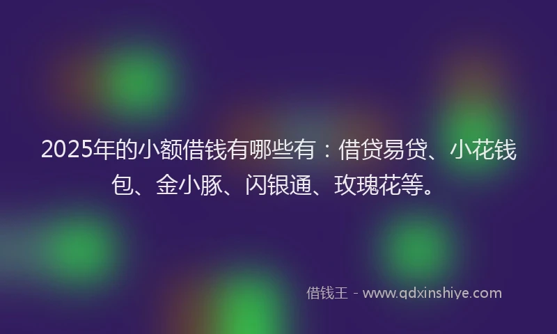 2025年的小额借钱有哪些有：借贷易贷、小花钱包、金小豚、闪银通、玫瑰花等。