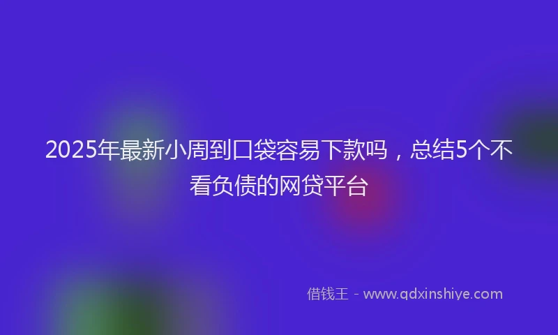 2025年最新小周到口袋容易下款吗，总结5个不看负债的网贷平台