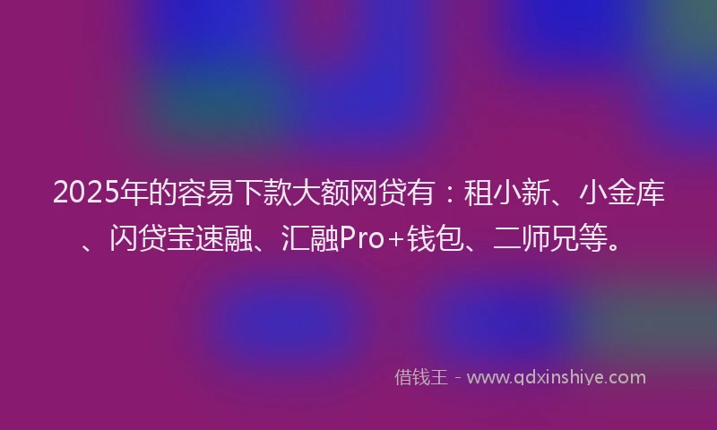 2025年的容易下款大额网贷有：租小新、小金库、闪贷宝速融、汇融Pro+钱包、二师兄等。