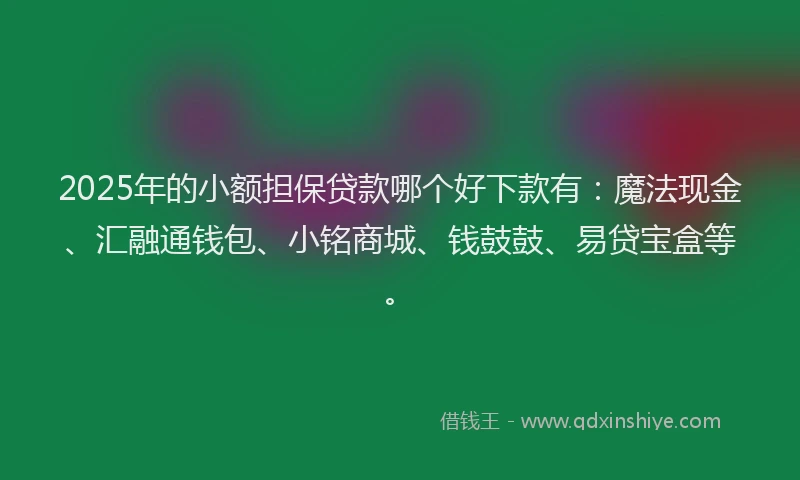 2025年的小额担保贷款哪个好下款有：魔法现金、汇融通钱包、小铭商城、钱鼓鼓、易贷宝盒等。