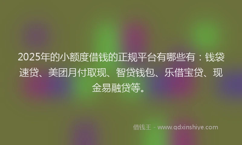 2025年的小额度借钱的正规平台有哪些有：钱袋速贷、美团月付取现、智贷钱包、乐借宝贷、现金易融贷等。