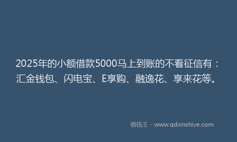 2025年的小额借款5000马上到账的不看征信有：汇金钱包、闪电宝、E享购、融逸花、享来花等。