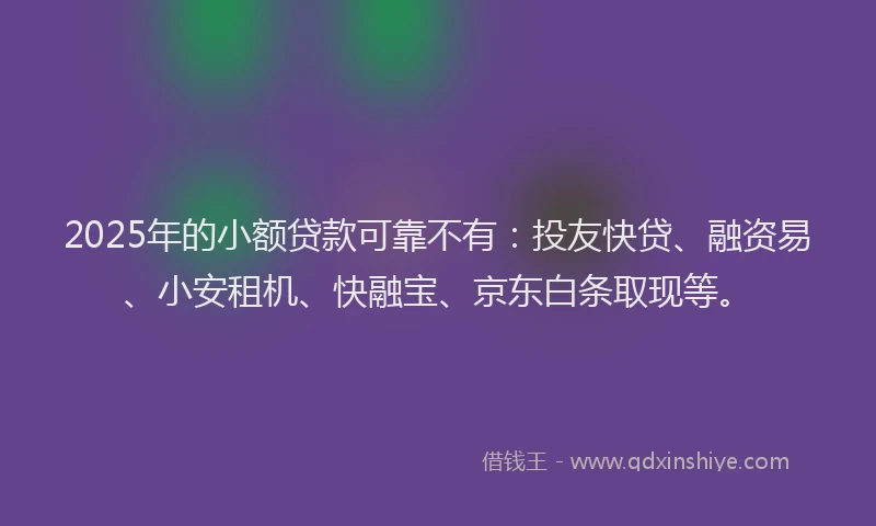 2025年的小额贷款可靠不有：投友快贷、融资易、小安租机、快融宝、京东白条取现等。