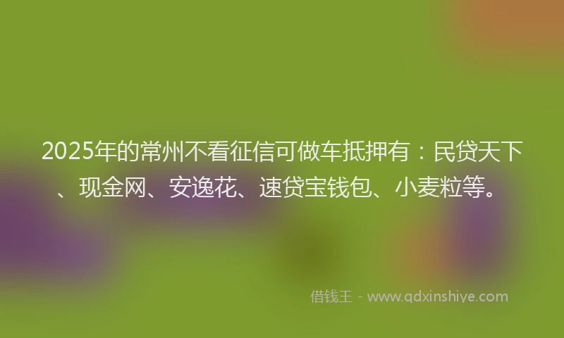 2025年的常州不看征信可做车抵押有：民贷天下、现金网、安逸花、速贷宝钱包、小麦粒等。