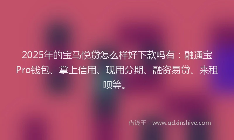 2025年的宝马悦贷怎么样好下款吗有：融通宝Pro钱包、掌上信用、现用分期、融资易贷、来租呗等。