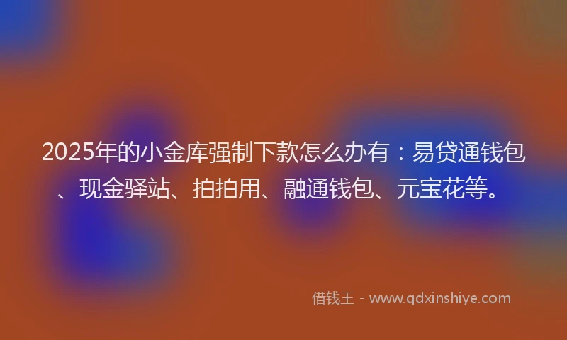 2025年的小金库强制下款怎么办有：易贷通钱包、现金驿站、拍拍用、融通钱包、元宝花等。