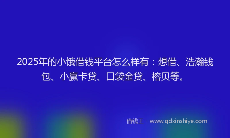 2025年的小饿借钱平台怎么样有：想借、浩瀚钱包、小赢卡贷、口袋金贷、榕贝等。