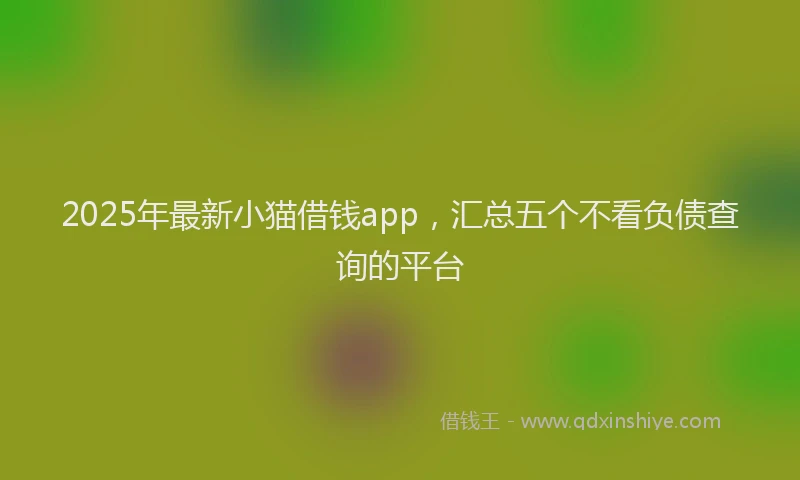 2025年最新小猫借钱app，汇总五个不看负债查询的平台