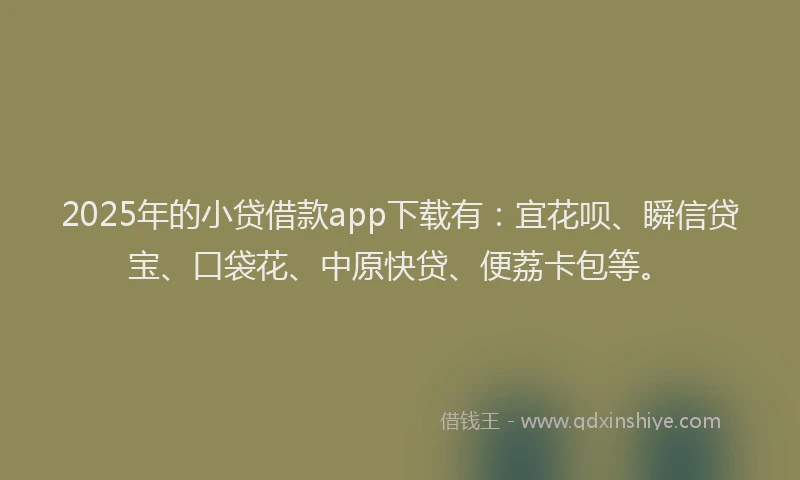 2025年的小贷借款app下载有：宜花呗、瞬信贷宝、口袋花、中原快贷、便荔卡包等。