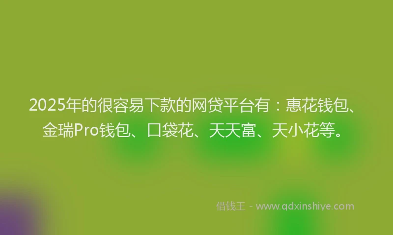 2025年的很容易下款的网贷平台有：惠花钱包、金瑞Pro钱包、口袋花、天天富、天小花等。