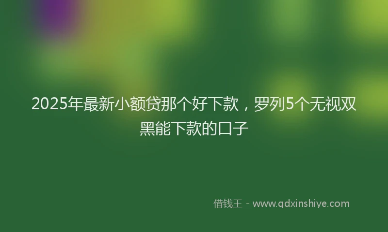 2025年最新小额贷那个好下款，罗列5个无视双黑能下款的口子