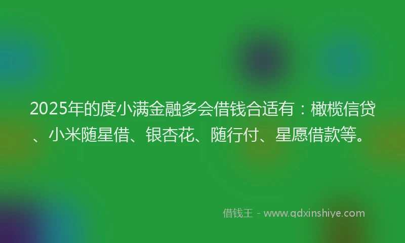 2025年的度小满金融多会借钱合适有：橄榄信贷、小米随星借、银杏花、随行付、星愿借款等。