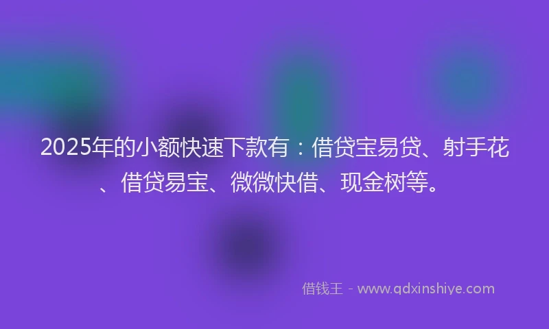 2025年的小额快速下款有：借贷宝易贷、射手花、借贷易宝、微微快借、现金树等。