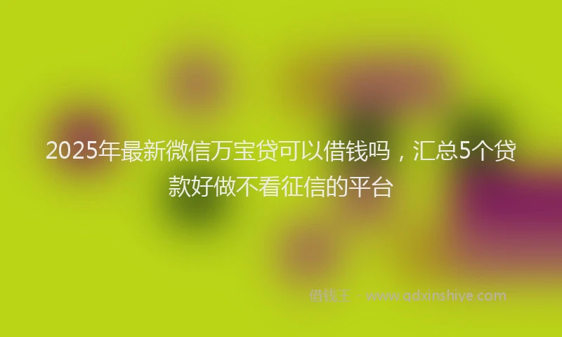 2025年最新微信万宝贷可以借钱吗，汇总5个贷款好做不看征信的平台