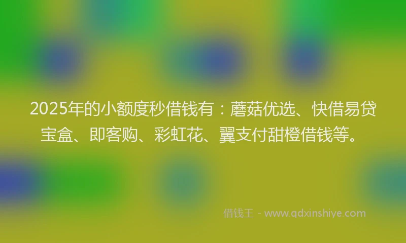 2025年的小额度秒借钱有：蘑菇优选、快借易贷宝盒、即客购、彩虹花、翼支付甜橙借钱等。