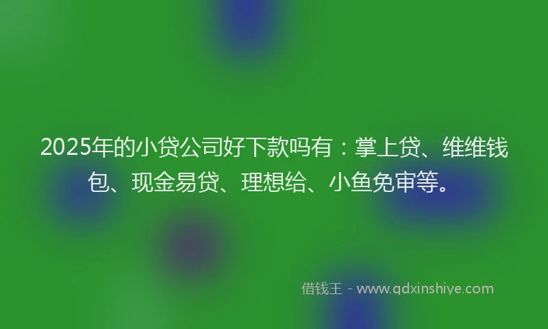 2025年的小贷公司好下款吗有：掌上贷、维维钱包、现金易贷、理想给、小鱼免审等。