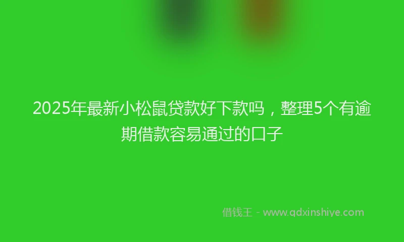 2025年最新小松鼠贷款好下款吗，整理5个有逾期借款容易通过的口子