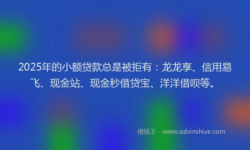 2025年的小额贷款总是被拒有：龙龙享、信用易飞、现金站、现金秒借贷宝、洋洋借呗等。