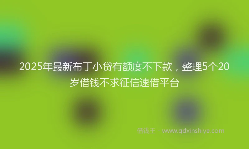 2025年最新布丁小贷有额度不下款，整理5个20岁借钱不求征信速借平台