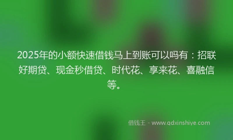 2025年的小额快速借钱马上到账可以吗有：招联好期贷、现金秒借贷、时代花、享来花、喜融信等。