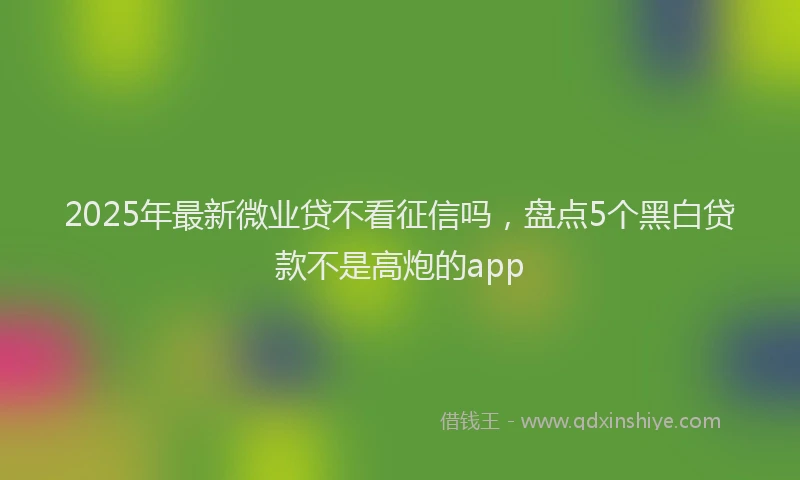 2025年最新微业贷不看征信吗，盘点5个黑白贷款不是高炮的app