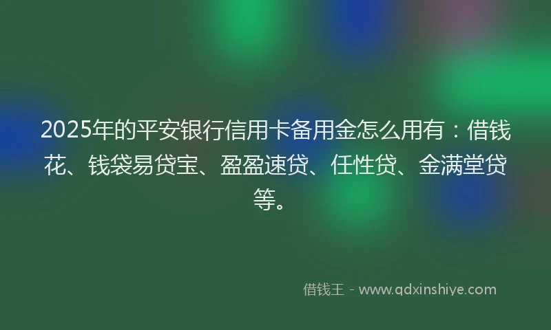 2025年的平安银行信用卡备用金怎么用有：借钱花、钱袋易贷宝、盈盈速贷、任性贷、金满堂贷等。