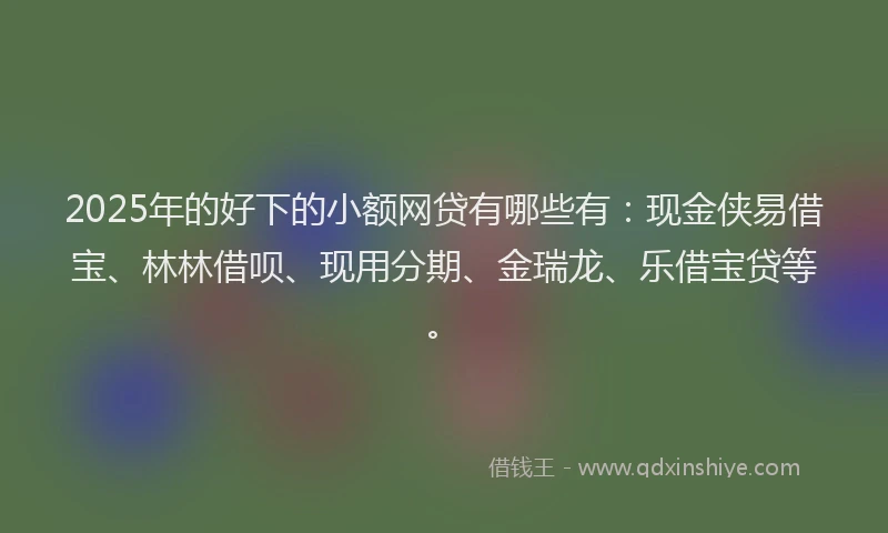 2025年的好下的小额网贷有哪些有：现金侠易借宝、林林借呗、现用分期、金瑞龙、乐借宝贷等。