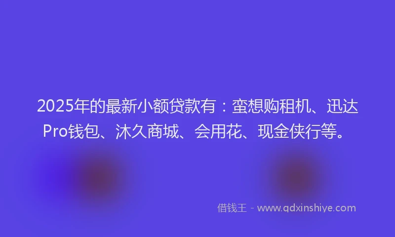 2025年的最新小额贷款有：蛮想购租机、迅达Pro钱包、沐久商城、会用花、现金侠行等。