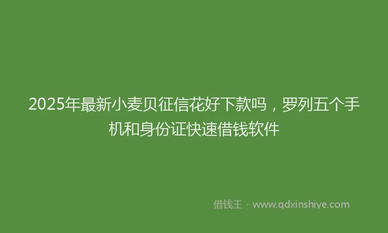 2025年最新小麦贝征信花好下款吗，罗列五个手机和身份证快速借钱软件