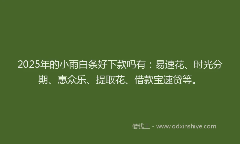 2025年的小雨白条好下款吗有：易速花、时光分期、惠众乐、提取花、借款宝速贷等。