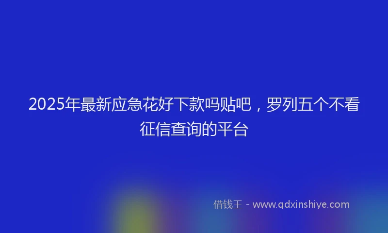 2025年最新应急花好下款吗贴吧，罗列五个不看征信查询的平台