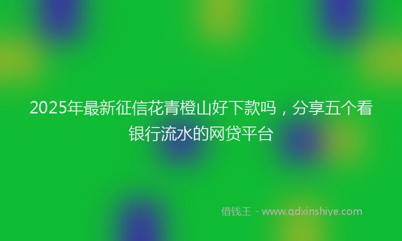 2025年最新征信花青橙山好下款吗，分享五个看银行流水的网贷平台