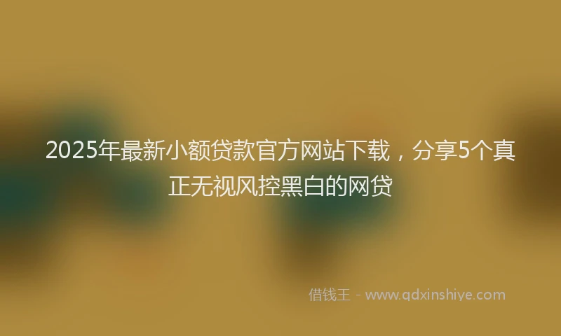 2025年最新小额贷款官方网站下载，分享5个真正无视风控黑白的网贷