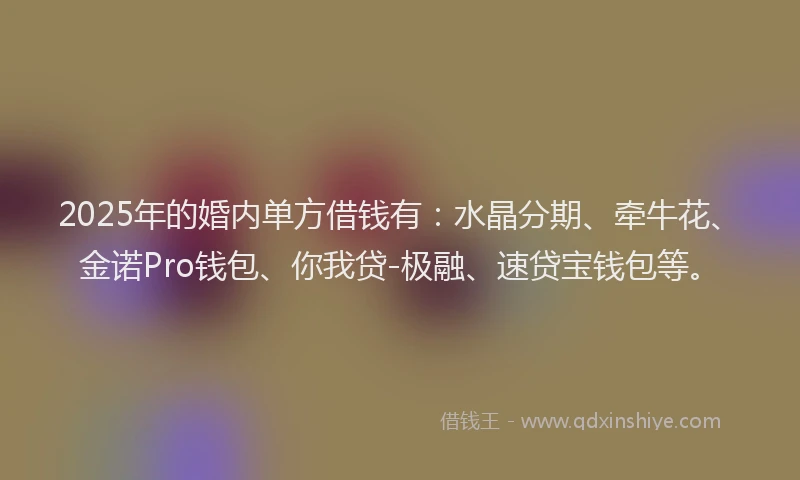2025年的婚内单方借钱有：水晶分期、牵牛花、金诺Pro钱包、你我贷-极融、速贷宝钱包等。