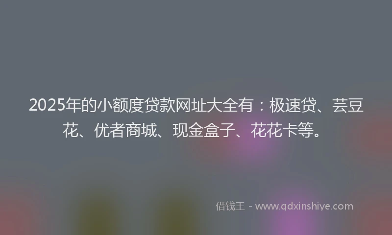 2025年的小额度贷款网址大全有：极速贷、芸豆花、优者商城、现金盒子、花花卡等。