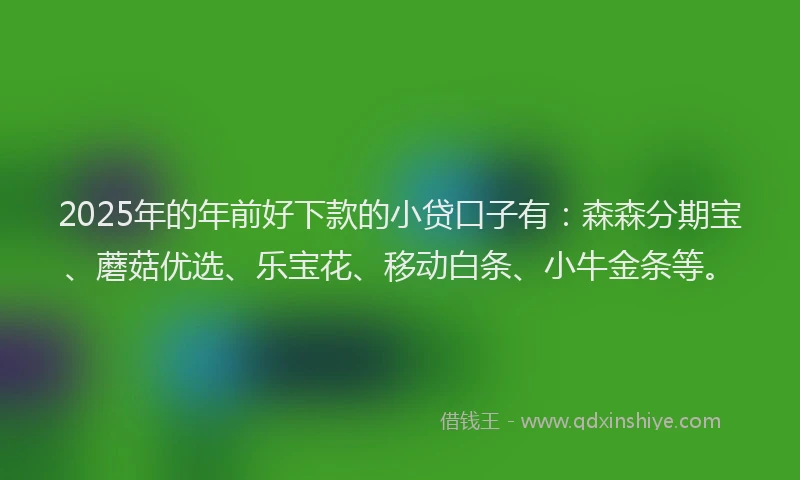 2025年的年前好下款的小贷口子有：森森分期宝、蘑菇优选、乐宝花、移动白条、小牛金条等。
