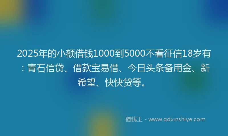 2025年的小额借钱1000到5000不看征信18岁有：青石信贷、借款宝易借、今日头条备用金、新希望、快快贷等。