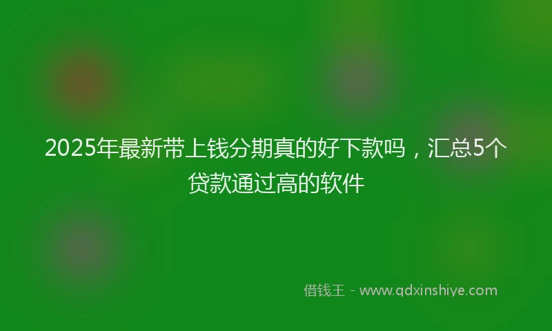 2025年最新带上钱分期真的好下款吗，汇总5个贷款通过高的软件