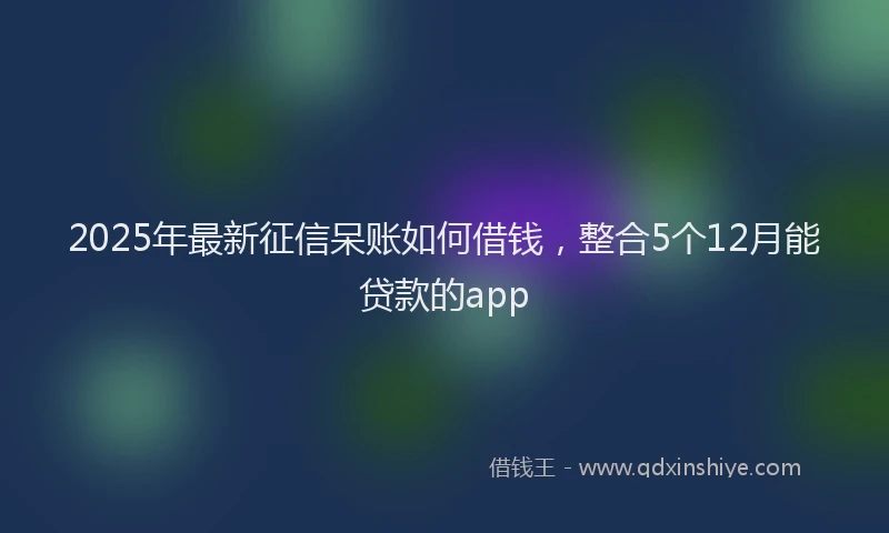 2025年最新征信呆账如何借钱，整合5个12月能贷款的app