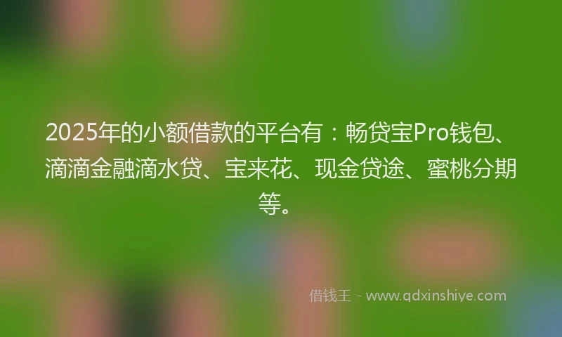 2025年的小额借款的平台有：畅贷宝Pro钱包、滴滴金融滴水贷、宝来花、现金贷途、蜜桃分期等。