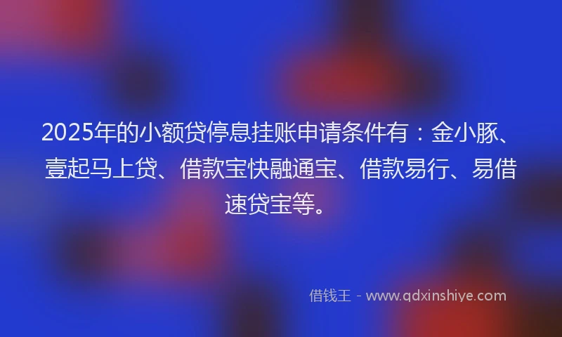 2025年的小额贷停息挂账申请条件有：金小豚、壹起马上贷、借款宝快融通宝、借款易行、易借速贷宝等。